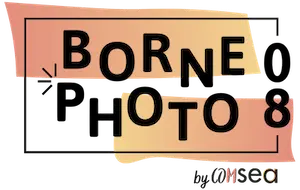 Logo Borne Photo 08